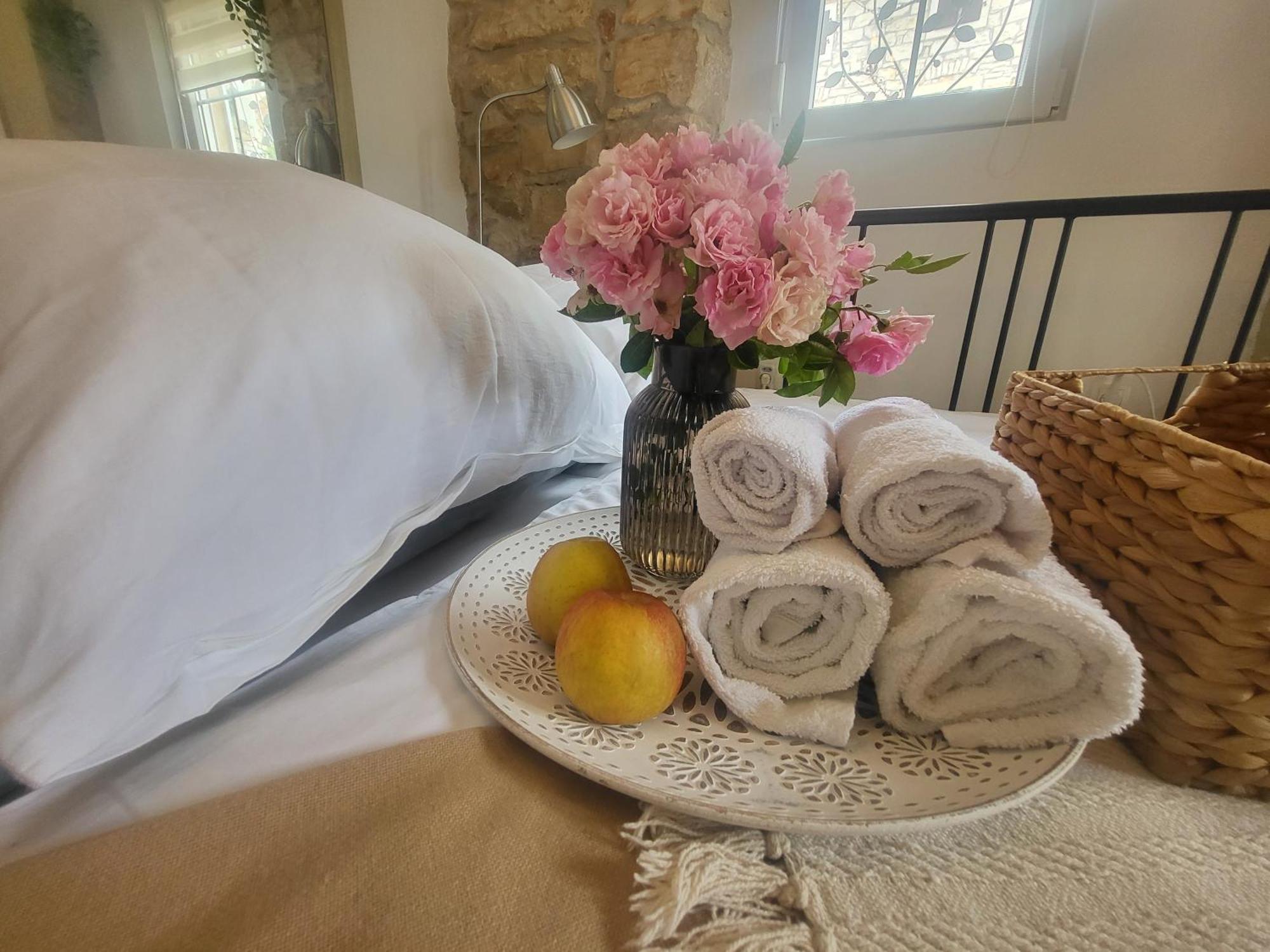 Villa Amore Radini Istrian Romantic Studio With Private Parking And Terrace Brtonigla Exterior photo